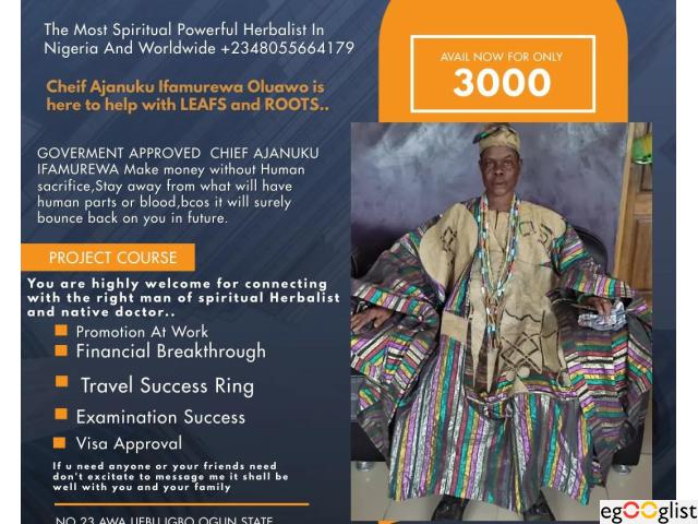 The Best Spiritual Powerful Herbalist In Nigeria